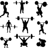 4FT Olympic Barbell Rod for 2" Plates | Chrome Steel Curl Bar | Home Gym Weightlifting Bar | 440LB Capacity | Fitness Training Bar